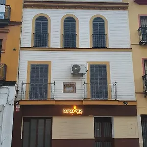 Loft Centrico Seville